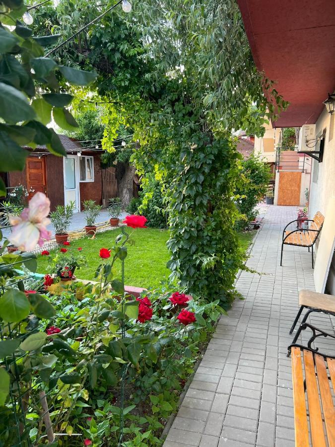 Vila Iris Mamaia Nord Navodari Dış mekan fotoğraf
